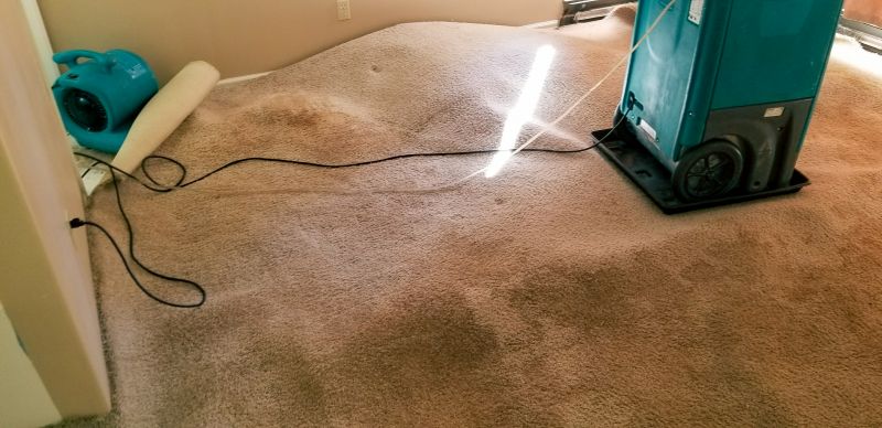 Carpet Restoration Results