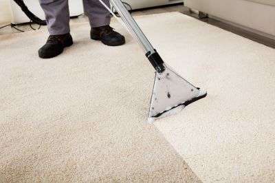 Professional Carpet Cleaning Team